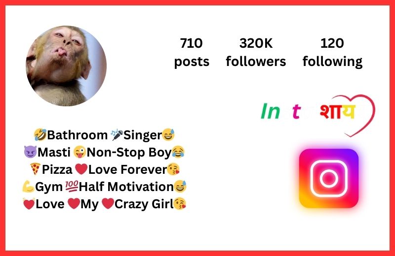 Funny Bio For Instagram For Boy