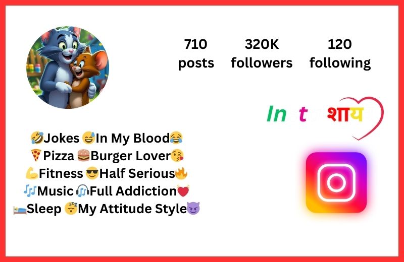 Funny Bio For Instagram For Girl