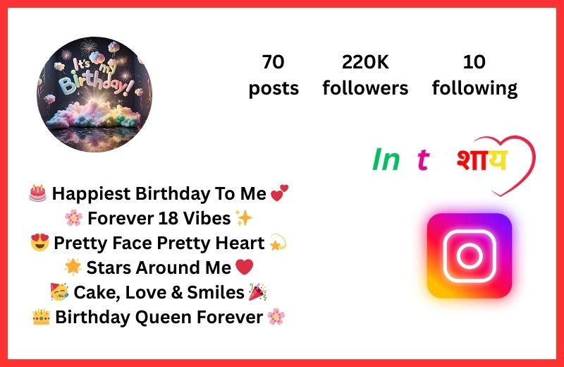 Funny Birthday Bio For Instagram