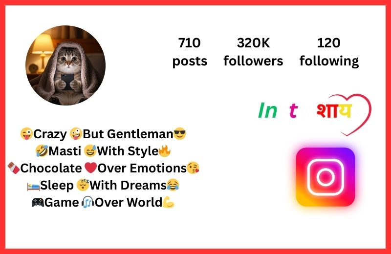 Funny Bio For Instagram With Emoji