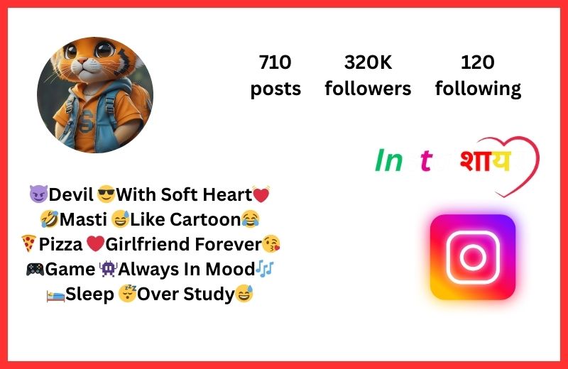 Funny Bio For Instagram For Boy Attitude
