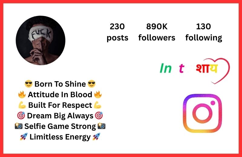 Instagram Bio For Boys Attitude
